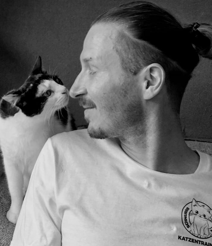 Katzenverhaltensberater Analyse mit Katze
