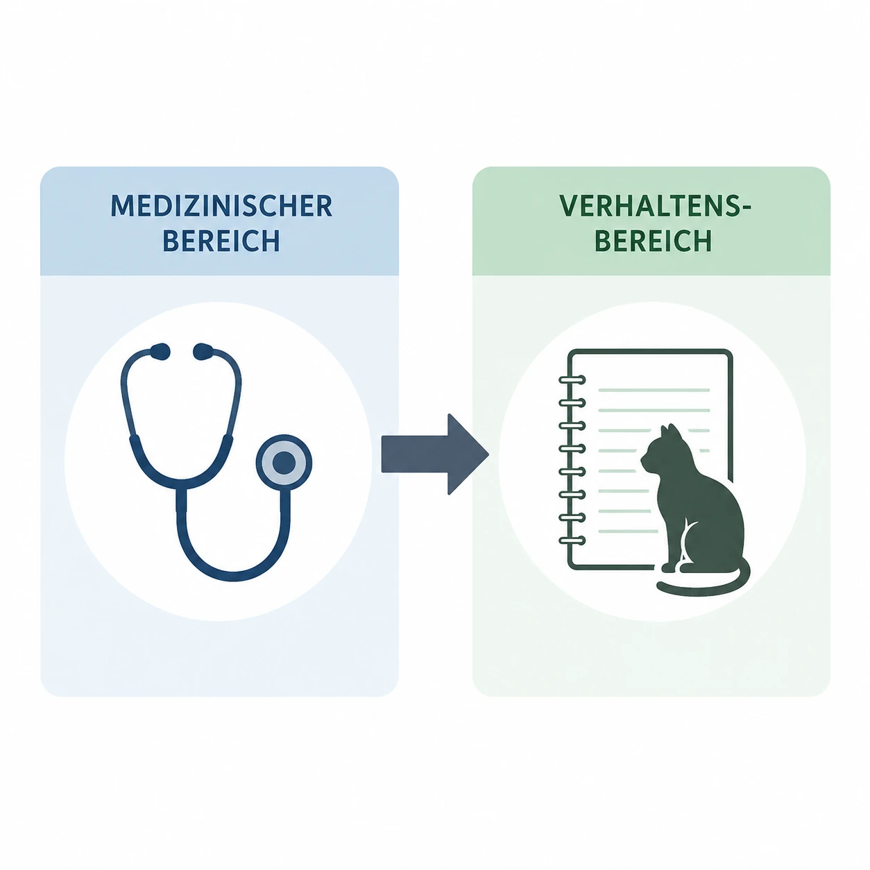 Infografik zu Tiermedizin und Verhaltensberatung bei Unsauberkeit von Katzen mit Stethoskop, Notizbuch, Katze und verbindendem Pfeil.
