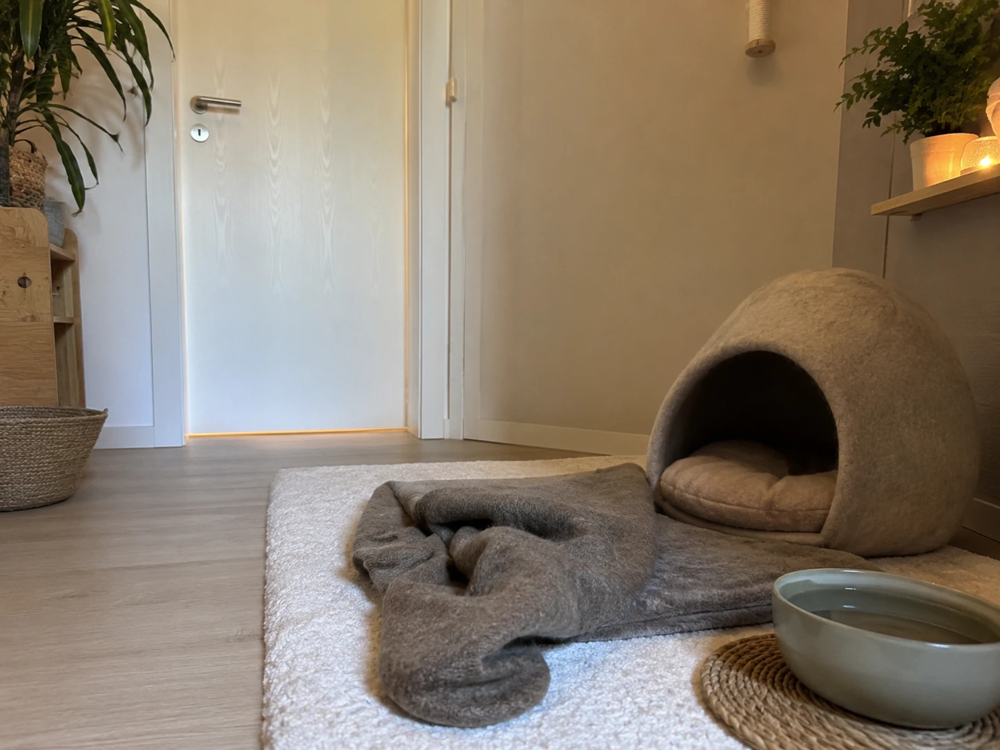 Sicherer Rückzugsraum für eine Katze vor Besuch