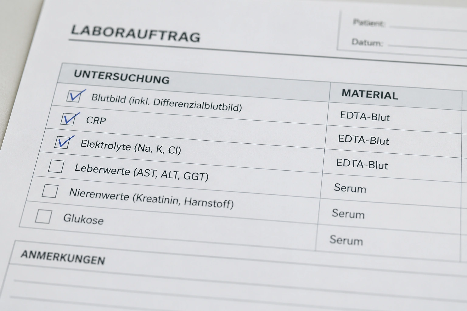 Checkliste nach unauffälliger Urinprobe bei der Katze