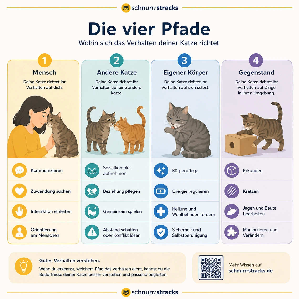 Beißsituation bei Katzen nach Ziel und Kontext einordnen