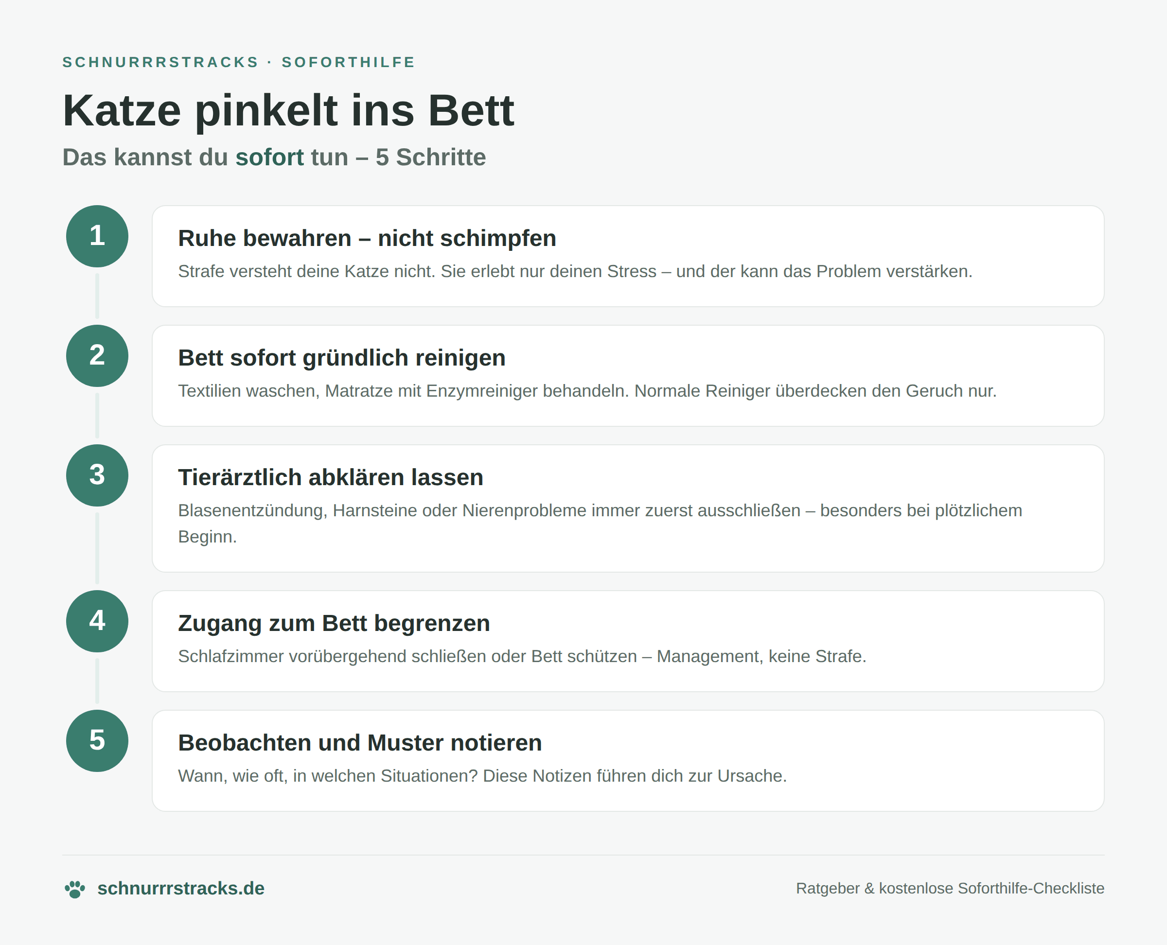 Infografik: Soforthilfe in 5 Schritten, wenn die Katze ins Bett pinkelt – nicht schimpfen, Bett mit Enzymreiniger reinigen, Tierarzt abklären, Zugang begrenzen, Muster beobachten