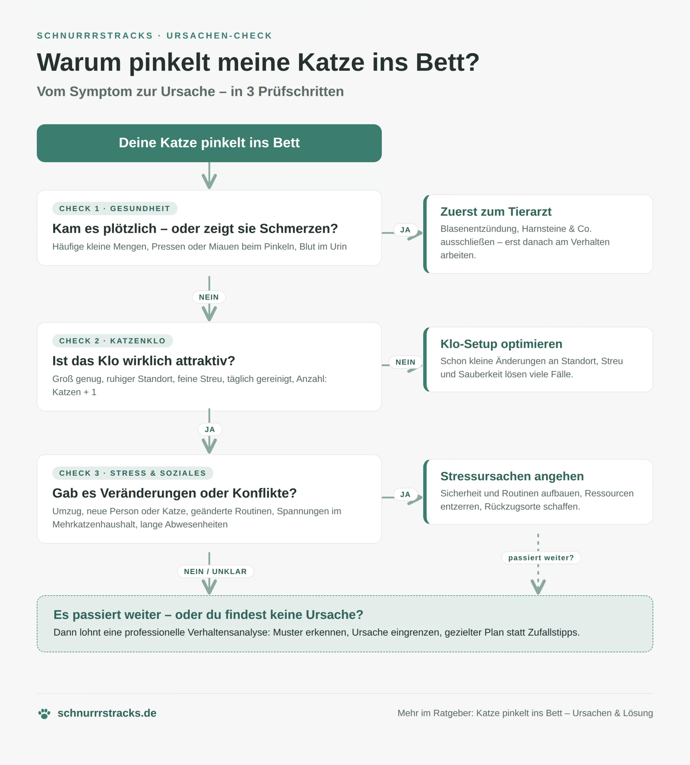 Entscheidungsbaum: Warum pinkelt meine Katze ins Bett? Zuerst medizinische Ursachen ausschließen, dann das Katzenklo prüfen, dann Stress und Konflikte als Ursache angehen