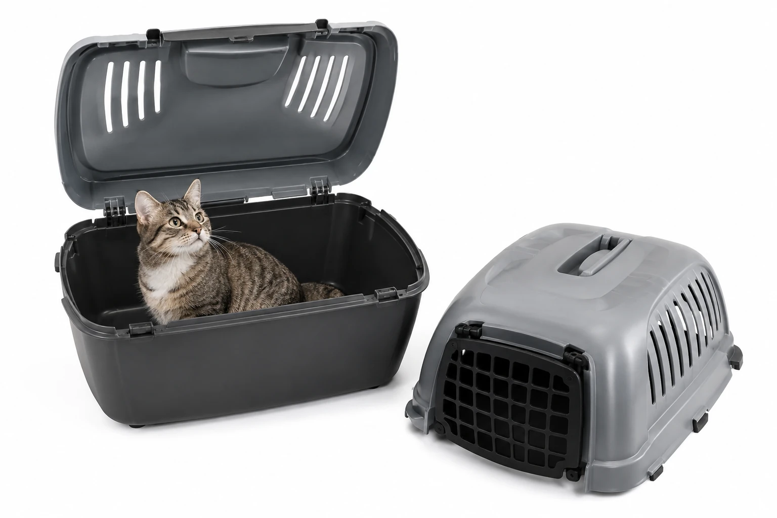 Transportbox mit oberer Öffnung und abnehmbarem Oberteil